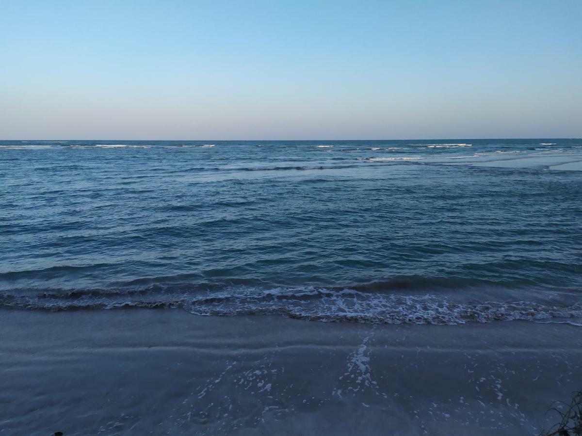 Recanto Das Folhas باريبويرا المظهر الخارجي الصورة